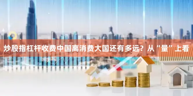 炒股指杠杆收费中国离消费大国还有多远？从“量”上看