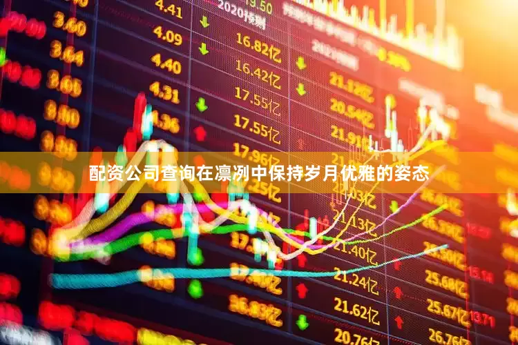 配资公司查询在凛冽中保持岁月优雅的姿态