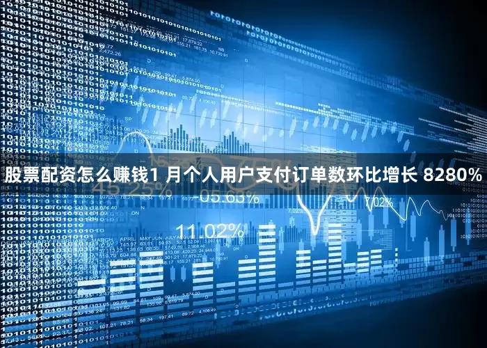 股票配资怎么赚钱1 月个人用户支付订单数环比增长 8280%