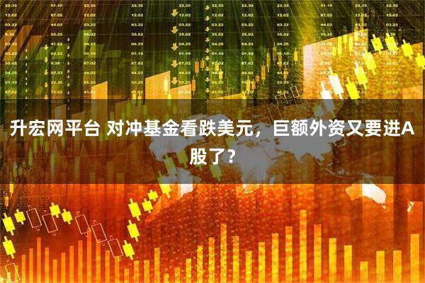 升宏网平台 对冲基金看跌美元，巨额外资又要进A股了？
